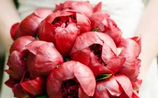 2025年农历九月廿六是不是结婚吉日 办喜事吉利吗