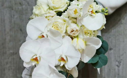 2026年农历冬月十八结婚好吗 办婚礼吉利吗