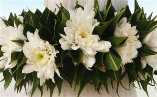 2026年农历冬月廿六领证日子如何 今日登记结婚好吗