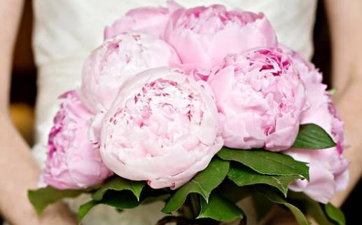 2025年农历九月初十领证日子如何 是领证好日子吗