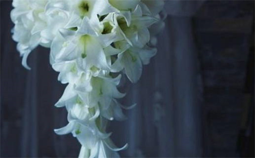 2026年农历正月初一领证好吗 今日登记领证好不好 2026年农历正月初一领证好吗 今日登记领证好不好