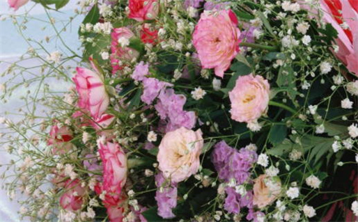 2026年农历冬月廿九领证黄道吉日 今日登记结婚好不好