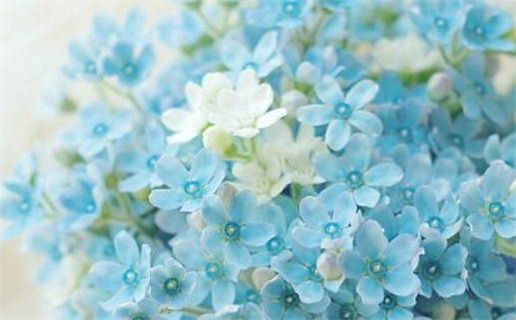 2025年农历十月初四乔迁好不好 今日乔迁入住好吗