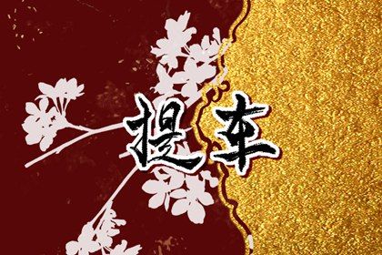 2025年农历闰六月十四提车吉日查询 宜提新车吉日查询