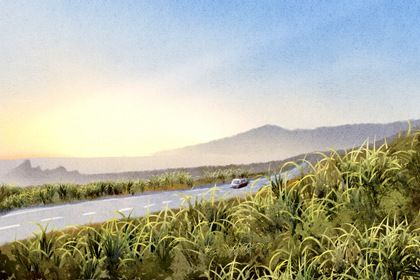 2026年03月03日提车好吗 是提新车好日子吗 2026年03月03日提车好吗 是提新车好日子吗