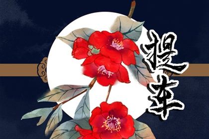 2025年农历八月廿五提车黄道吉日 今日买新车好吗