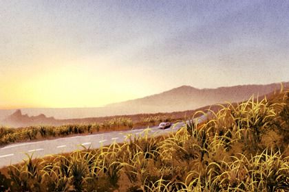 2025年12月03日是不是提车吉日 今日买新车好不好 2025年12月03日是不是提车吉日 今日买新车好不好