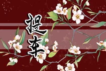 2025年农历七月二十是提车好日子吗 是提车好日子吗