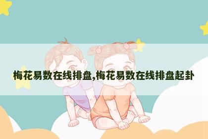 梅花易数在线排盘,梅花易数在线排盘起卦