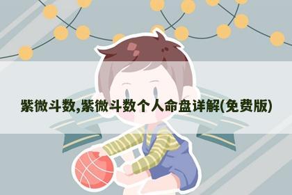 紫微斗数,紫微斗数个人命盘详解(免费版)