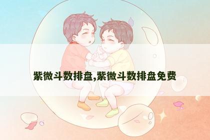 紫微斗数排盘,紫微斗数排盘免费