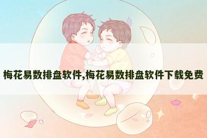 梅花易数排盘软件,梅花易数排盘软件下载免费