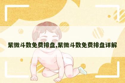 紫微斗数免费排盘,紫微斗数免费排盘详解