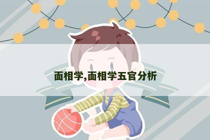 面相学,面相学五官分析
