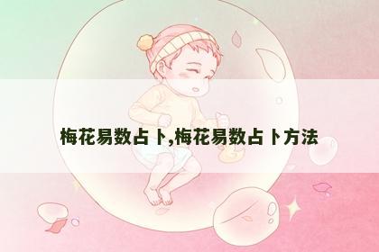 梅花易数占卜,梅花易数占卜方法