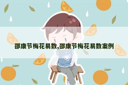 邵康节梅花易数,邵康节梅花易数案例