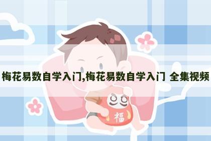 梅花易数自学入门,梅花易数自学入门 全集视频