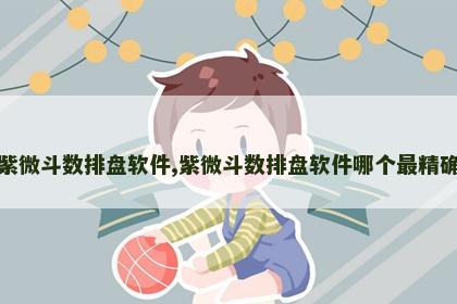 紫微斗数排盘软件,紫微斗数排盘软件哪个最精确