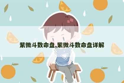 紫微斗数命盘,紫微斗数命盘详解