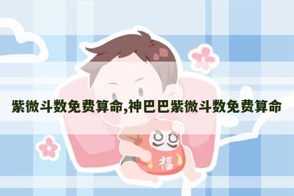 紫微斗数免费算命,神巴巴紫微斗数免费算命