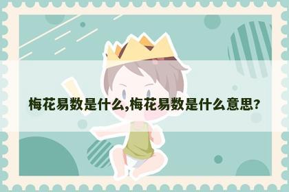 梅花易数是什么,梅花易数是什么意思?