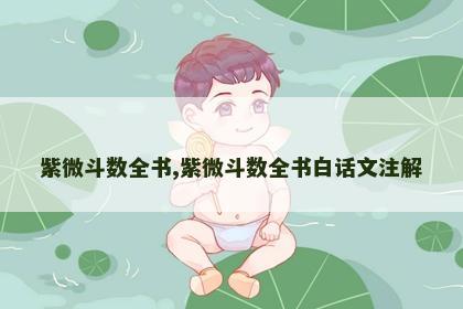 紫微斗数全书,紫微斗数全书白话文注解