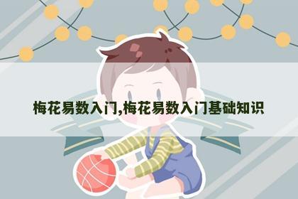 梅花易数入门,梅花易数入门基础知识