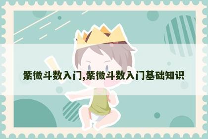 紫微斗数入门,紫微斗数入门基础知识