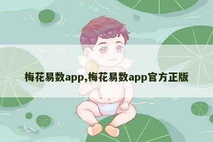 梅花易数app,梅花易数app官方正版