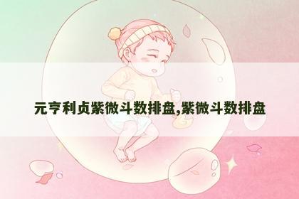 元亨利贞紫微斗数排盘,紫微斗数排盘