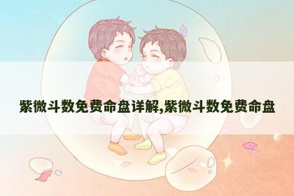 紫微斗数免费命盘详解,紫微斗数免费命盘