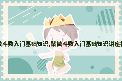 紫微斗数入门基础知识,紫微斗数入门基础知识讲座视频