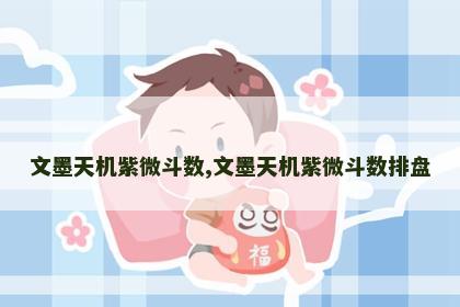 文墨天机紫微斗数,文墨天机紫微斗数排盘