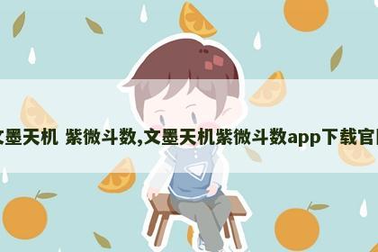 文墨天机 紫微斗数,文墨天机紫微斗数app下载官网