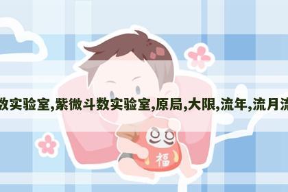 紫微斗数实验室,紫微斗数实验室,原局,大限,流年,流月流时排盘