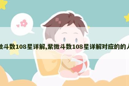 紫微斗数108星详解,紫微斗数108星详解对应的的人物