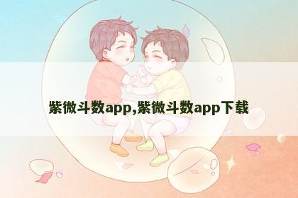 紫微斗数app,紫微斗数app下载