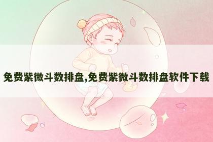 免费紫微斗数排盘,免费紫微斗数排盘软件下载