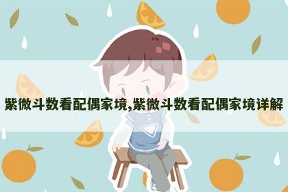 紫微斗数看配偶家境,紫微斗数看配偶家境详解