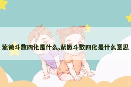 紫微斗数四化是什么,紫微斗数四化是什么意思