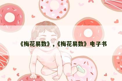 《梅花易数》,《梅花易数》电子书