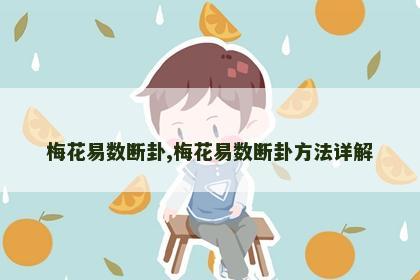 梅花易数断卦,梅花易数断卦方法详解