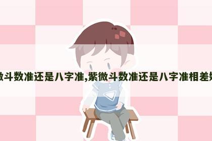 紫微斗数准还是八字准,紫微斗数准还是八字准相差好多