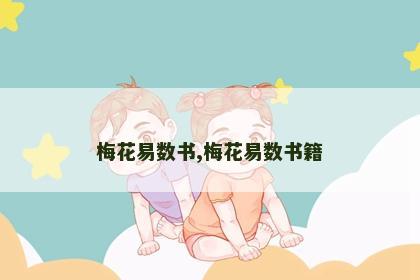 梅花易数书,梅花易数书籍