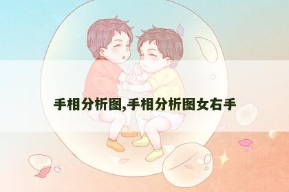 手相分析图,手相分析图女右手