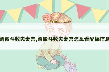 紫微斗数夫妻宫,紫微斗数夫妻宫怎么看配偶信息