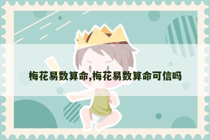 梅花易数算命,梅花易数算命可信吗