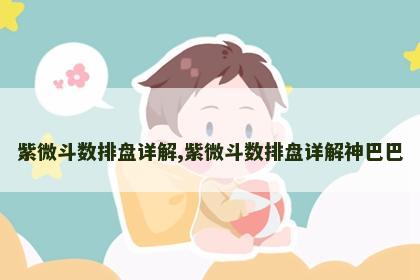 紫微斗数排盘详解,紫微斗数排盘详解神巴巴