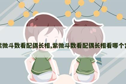 紫微斗数看配偶长相,紫微斗数看配偶长相看哪个宫