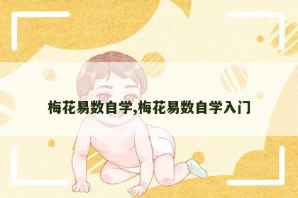 梅花易数自学,梅花易数自学入门